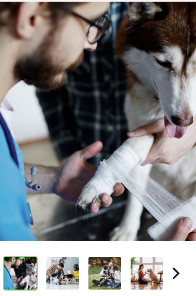 Animal Training & Care Bundle A Comprehensive Guide to Pet Care and Training