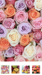 Get 2 Dozen Farmer's Color Choice Long-Stem Roses for Only $19.99!