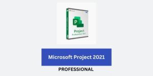 Microsoft Project 2021 Professional (PC)